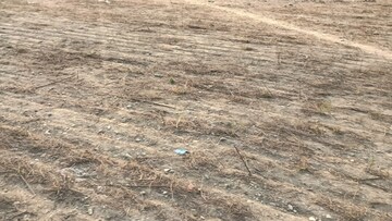Plot Area in  Plot at Selakui – for Sale