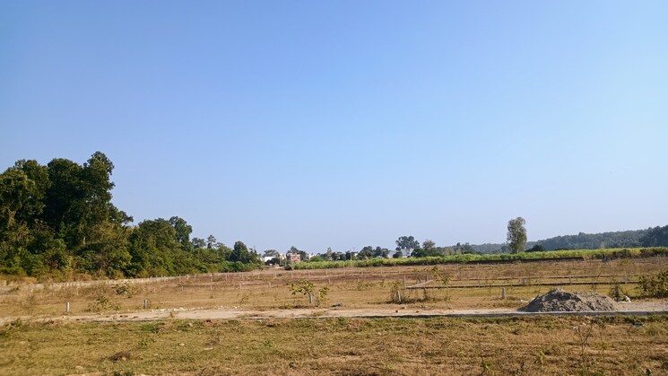 undefined, yash-greens-apartments  100 Sq.Yd. Plot In Shimla Road Dehradun 7922753