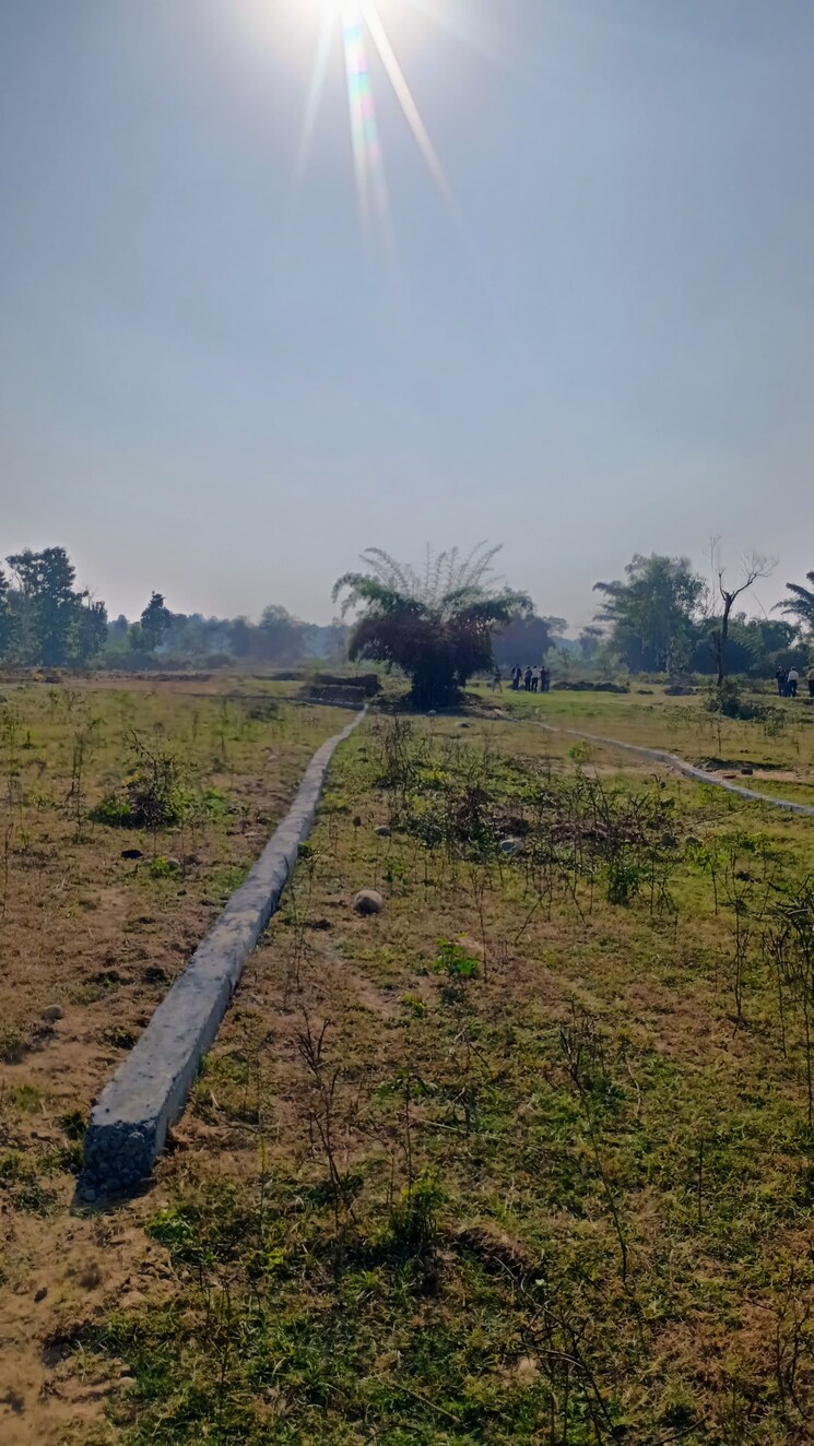 undefined, yash-greens-apartments  100 Sq.Yd. Plot In Shimla Road Dehradun 7922753