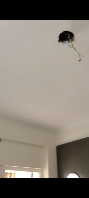 Room in 1 BHK Apartment at Nilaya Greens, Raj Nagar Extension – for Rent
