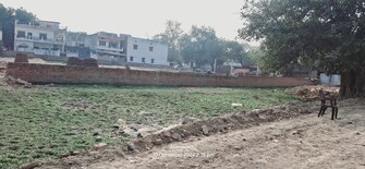 Plot For Resale in Varanasi Chowk Varanasi  7923046