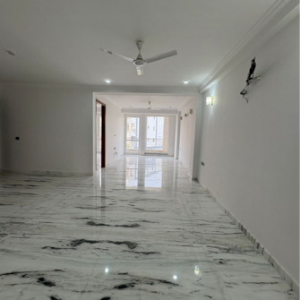 3 BHK Apartment For Rent in Sushant Lok 2 Sector 56 Gurgaon  7923669