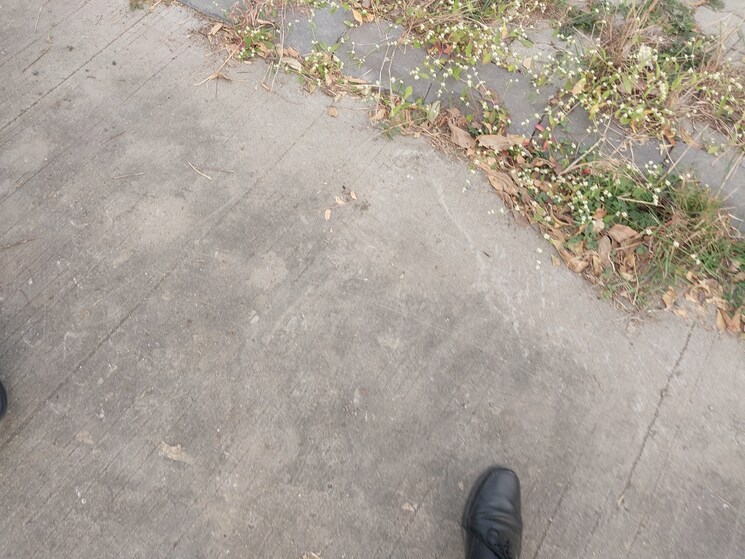 undefined, super corridor  4620 Sq.Ft. Plot In Super Corridor Indore 7923786