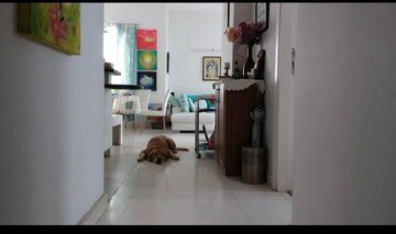 Living Room in 2 BHK Apartment at Ireo The Grand Arch, Sector 58 – for Sale