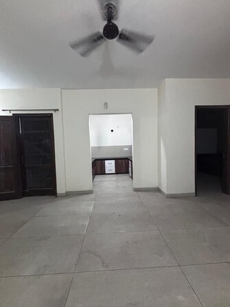 3 BHK Apartment For Rent in Sector 123 Mohali  7924548