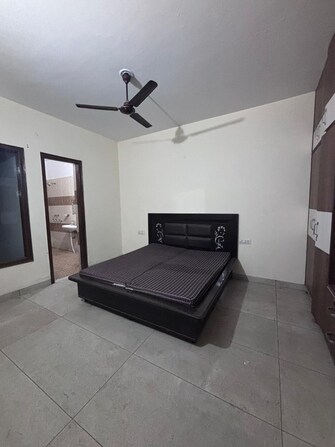 3 BHK Apartment For Rent in Sector 123 Mohali  7924548