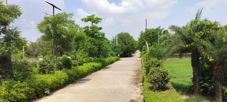 Garden, jewar  900 Sq.Ft. Plot In Jewar Greater Noida 7924919