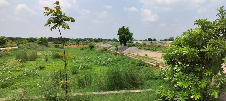 Garden, jewar  900 Sq.Ft. Plot In Jewar Greater Noida 7924966