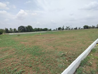 Plot For Resale in Kodangal Hyderabad  7925232