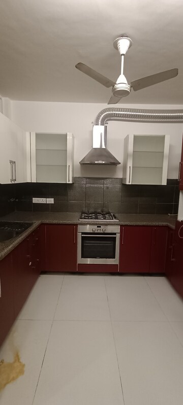 2.5 BHK Builder Floor For Rent in Chittaranjan Park