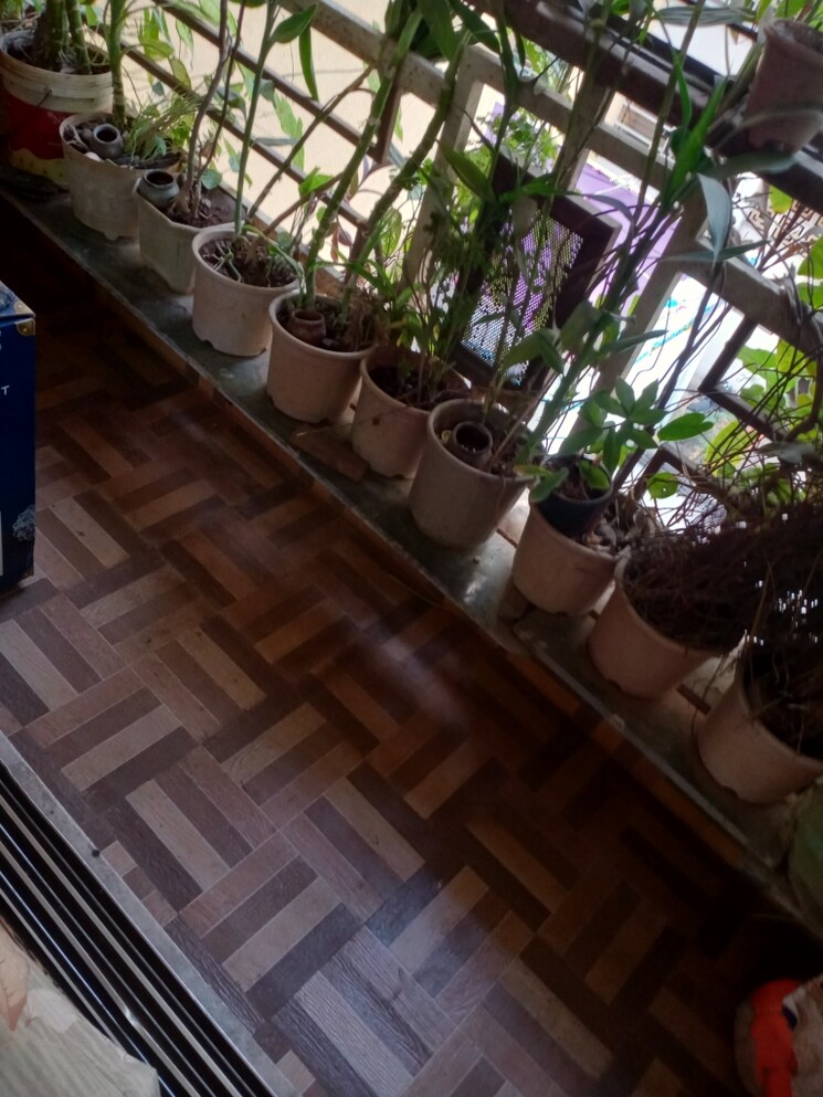 Balcony, badlapur east 1 Bedroom 670 Sq.Ft. Apartment In Badlapur East Thane 7925442