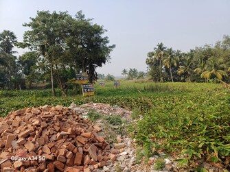 Plot For Resale in Khariberia Kolkata  7925824