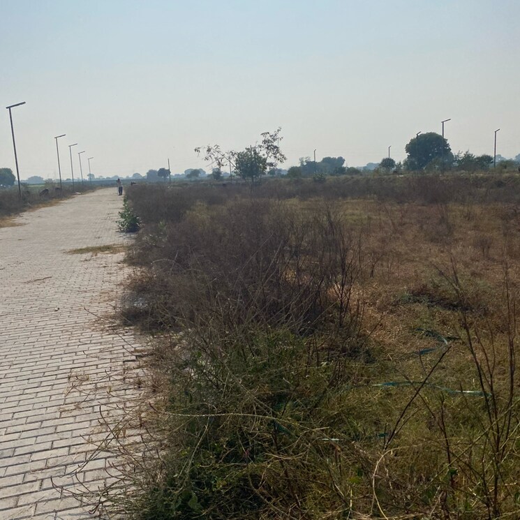 undefined, adore-smart-city  148 Sq.Yd. Plot In Sector 97 Faridabad 7925882