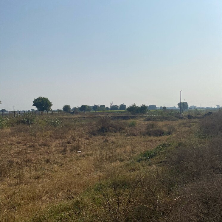 undefined, adore-smart-city  148 Sq.Yd. Plot In Sector 97 Faridabad 7925882