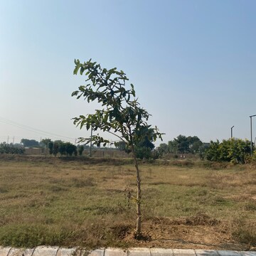 Plot Area in  Plot at Adore Smart City, Sector 97 – for Sale