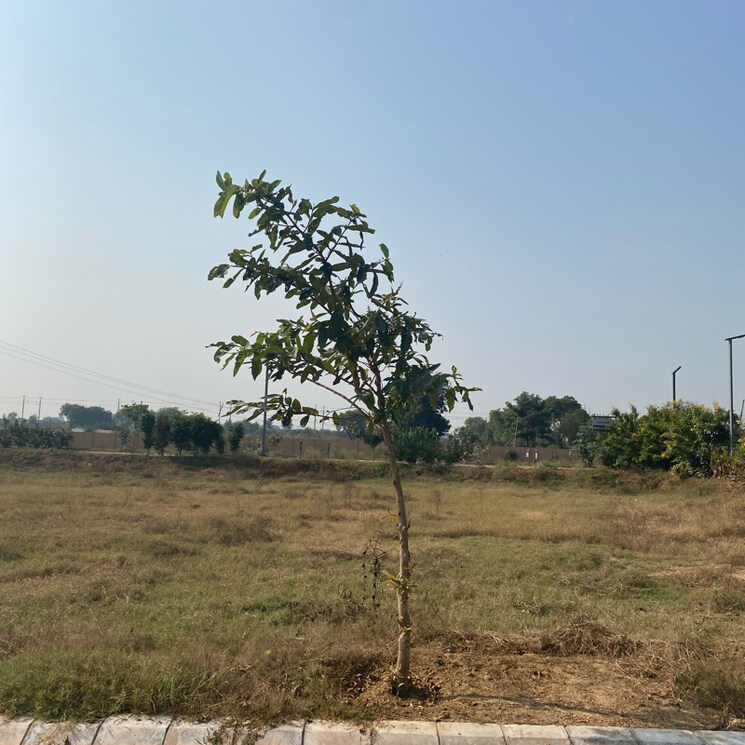 undefined, adore-smart-city  160 Sq.Yd. Plot In Sector 97 Faridabad 7925931