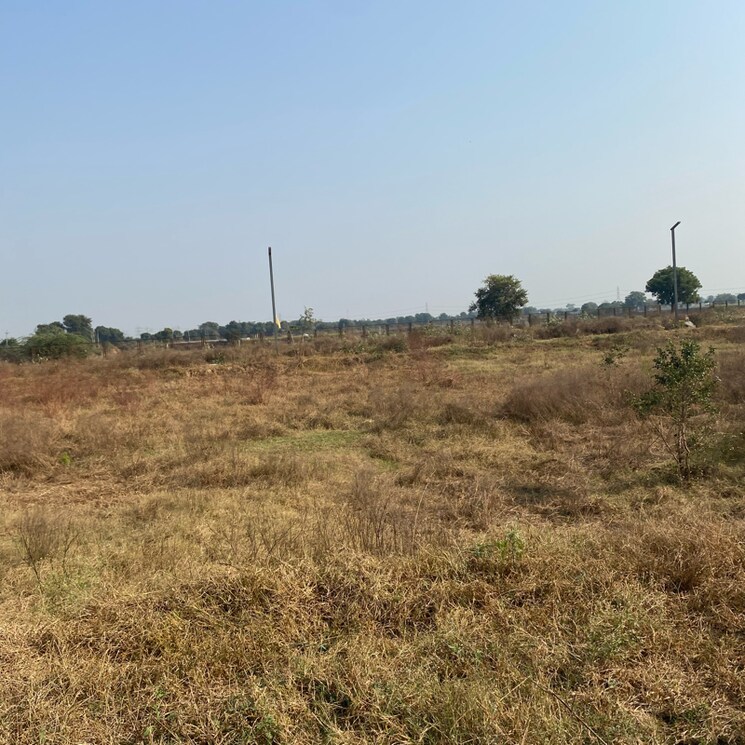 Other, adore-smart-city  160 Sq.Yd. Plot In Sector 97 Faridabad 7925931