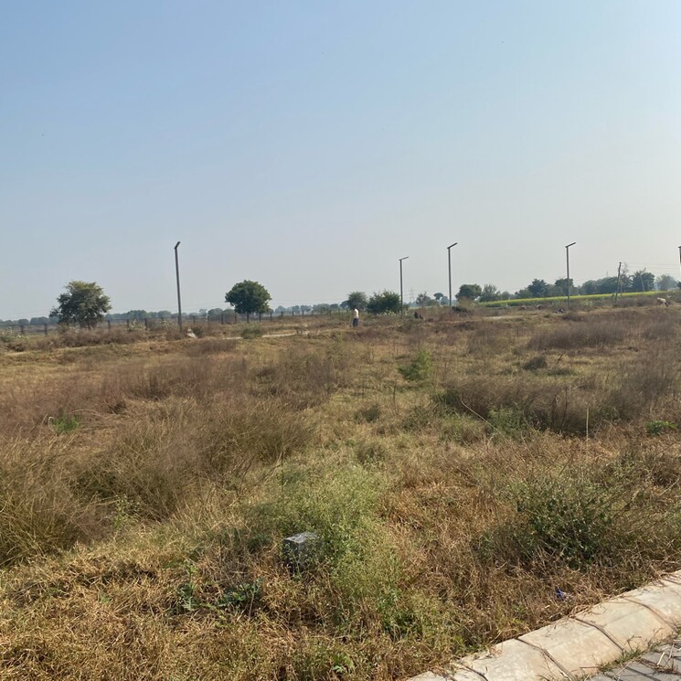 undefined, adore-smart-city  160 Sq.Yd. Plot In Sector 97 Faridabad 7925931