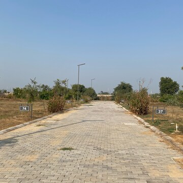 Plot Area in  Plot at Adore Smart City, Sector 97 – for Sale