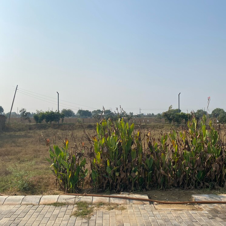 undefined, adore-smart-city  148 Sq.Yd. Plot In Sector 97 Faridabad 7926295
