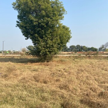 Plot Area in  Plot at Adore Smart City, Sector 97 – for Sale