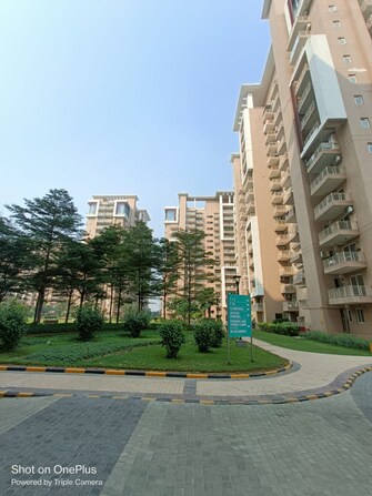 2 BHK Apartment For Rent in Pyramid Nest Sector 85 Gurgaon  7926377