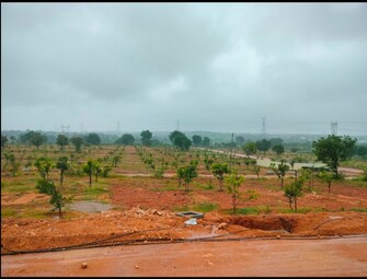 Plot For Resale in Arising Peacock Valley Kadthal Hyderabad  7926394