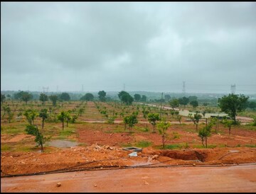  Plot For Sale in Arising Peacock Valley, Kadthal
