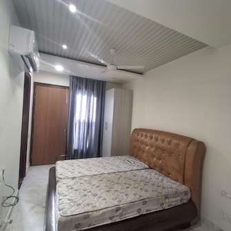 4 BHK Apartment For Rent in Sector 8 Chandigarh  7926519