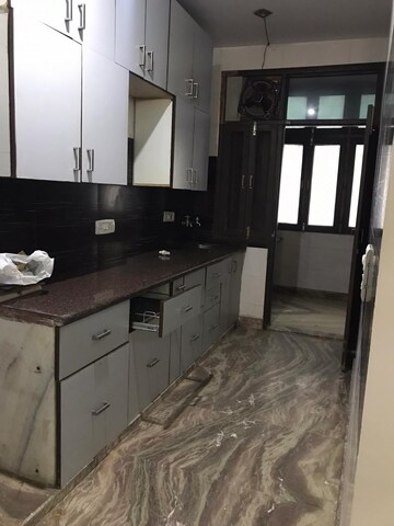 2 BHK Builder Floor For Rent in Shalimar Bagh