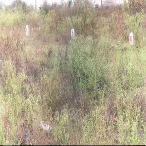 Plot Area in  Plot at Nandur – for Sale