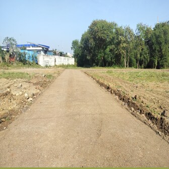 Plot For Resale in Adgaon Nashik  7927021