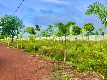 Plot Area in  Plot at Vikarabad – for Sale