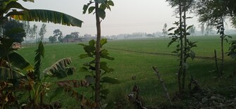 Commercial Land 50 Acre For Resale in Sandila Hardoi  7927138