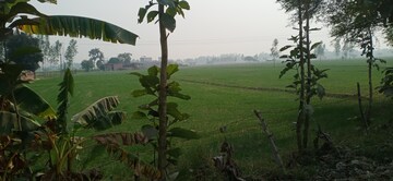 Land – Garden View at Sandila - for Sale