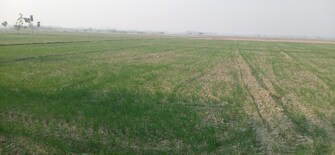 Commercial Land 50 Acre For Resale in Sandila Hardoi  7927138