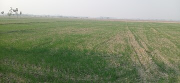 Plot Area in  Land at Sandila – for Sale