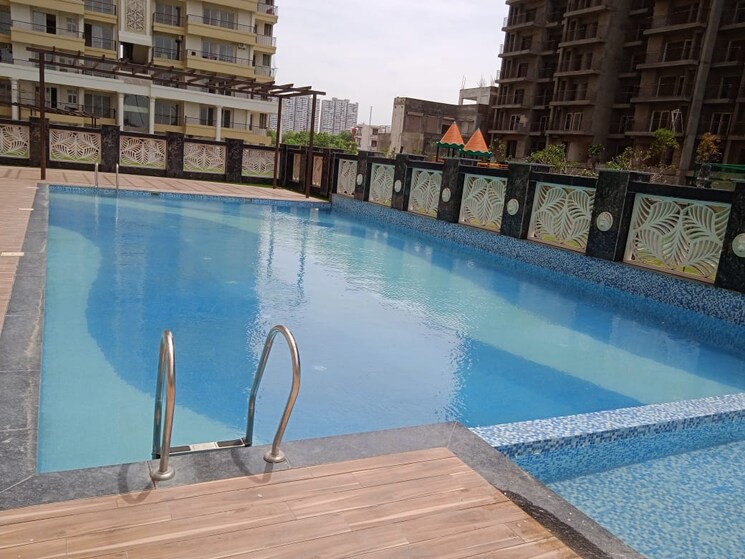 Swimming Pool, alpine-aigin-royal 3 Bedroom 1800 Sq.Ft. Apartment In Sector 1 Greater Noida Greater Noida 7927170