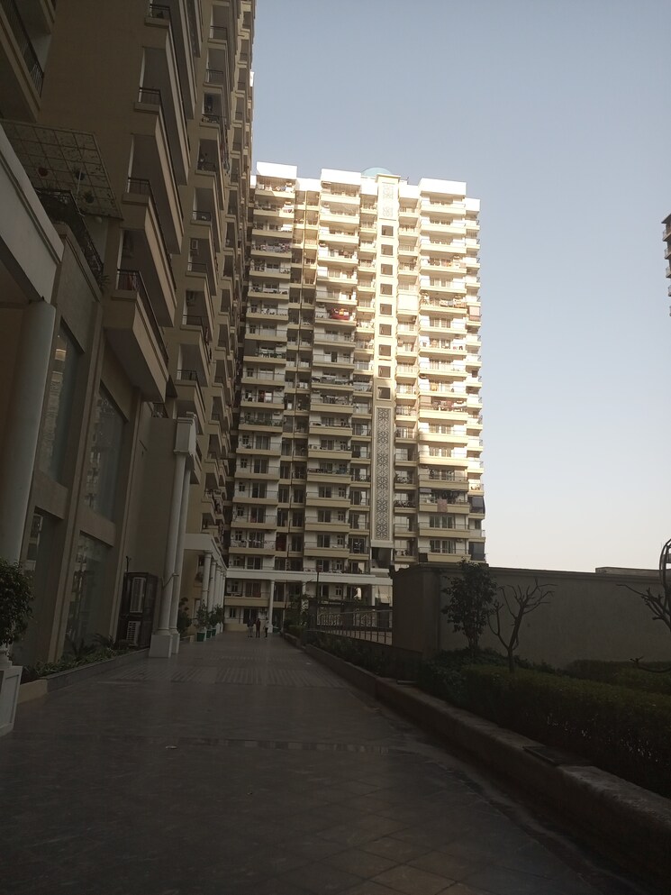 Exterior View, alpine-aigin-royal 3 Bedroom 1800 Sq.Ft. Apartment In Sector 1 Greater Noida Greater Noida 7927170