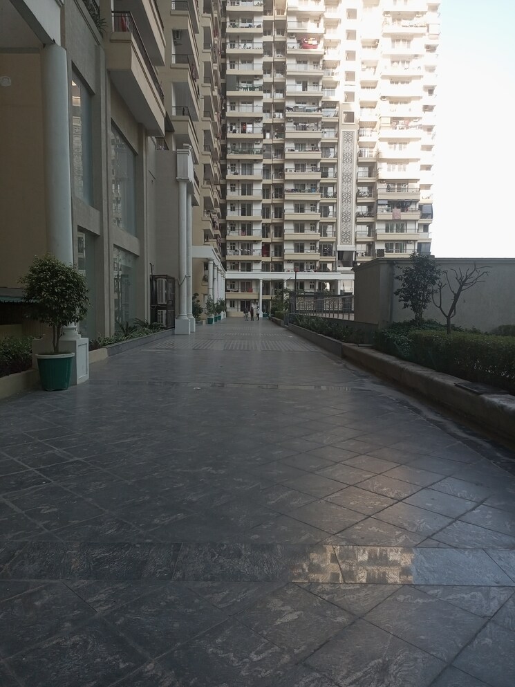 Exterior View, alpine-aigin-royal 3 Bedroom 1800 Sq.Ft. Apartment In Sector 1 Greater Noida Greater Noida 7927170