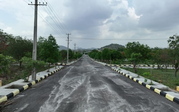 Plot For Sale in Mazidpur