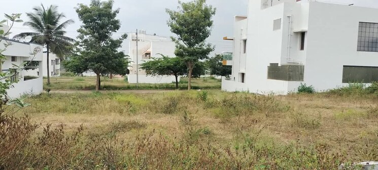 undefined, dev-city-dadri  121 Sq.Yd. Plot In Talabpur Urf Hathipur Greater Noida 7927227