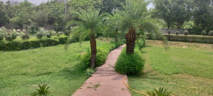 Exterior View, jewar  200 Sq.Yd. Plot In Jewar Greater Noida 7927305