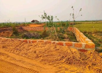 Plot For Resale in Patrapada Bhubaneswar  7927372