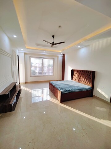 Living Room in 3 BHK Builder Floor at Ansal Plaza Sector-23, Sector 23 – for Rent