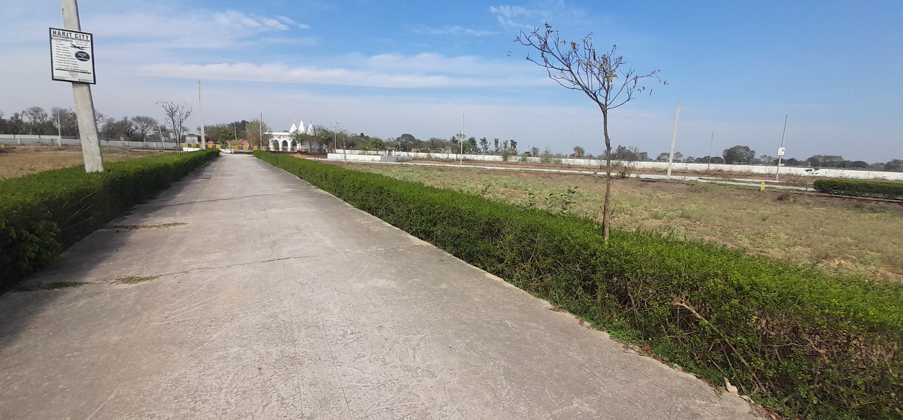 Plot For Sale in Plot For Sale Near Jewar 