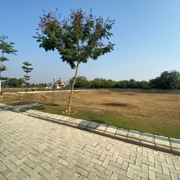 undefined, lightstone-la-dimora-city  153 Sq.Yd. Plot In Sector 97a Faridabad 7927810