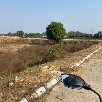 Plot For Resale in Sector 92 Faridabad  7927826