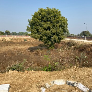 Plot Area in  Plot at Sector 92 – for Sale