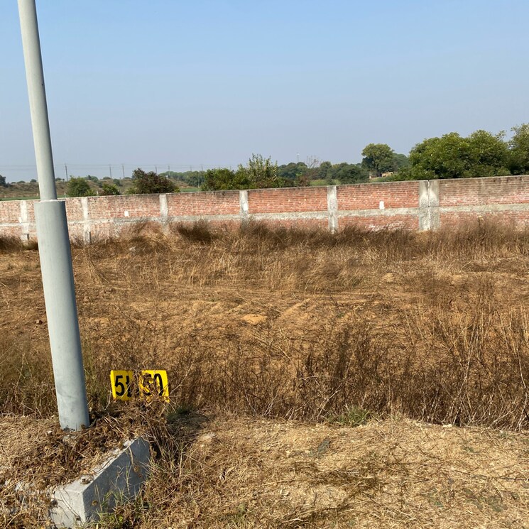 undefined, sector 92  167 Sq.Yd. Plot In Sector 92 Faridabad 7927837